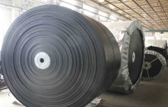 Conveyor Belt by Paras Steel Center