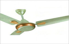 Decorative Ceiling Fan by Shiv Nath Electric Co.