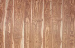 Decorative Veneer Plywood by Veneer Point