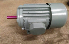 Electric Motor 025 HP by Krishna Enterprise