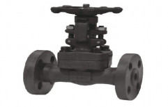 Forged Valves by C. B. Trading Corporation