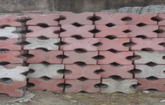 Grass Paver by M/S Amit Hatwal Sanitary & Building Material Trading Co.