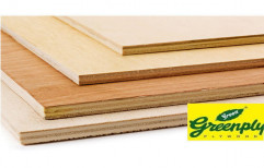 Greenply Laminated Plywood by Jain Brothers & Co.