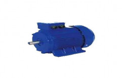 Induction Motor by La-gajjar Machineries Pvt. Ltd.