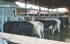 Line Milking Parlor by Vansun Technologies Private Limited