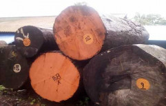 Marbue Wood by PMJ Wood Industries