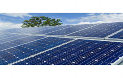 Monocrystalline Solar Panel by Surya Marketing