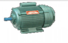 Single Phase Induction Motors by Ruba Electricals