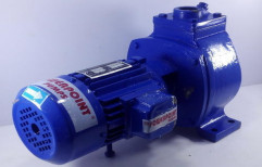 Swimming Pool Pump by Mach Power Point Pumps India Private Limited