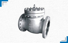 Swing Check Valve by Mackwell Pumps & Controls