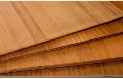 Teak Plywood by Ramdev Plywood & Hardware