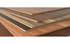 Timber Wooden Plywood by Mittal Ashish Timber Traders