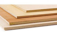 Wooden Plywood Boards by Shayona Enterprises