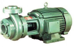 Agriculture Pumps by The Raj Engineering