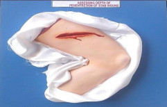 Assessing Depth Of  Penentretion Of Stab Wound by H. L. Scientific Industries