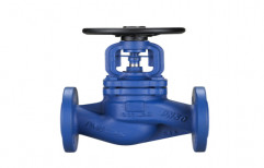 Bellow Sealed Globe Valves by Parth Valves And Hoses LLP