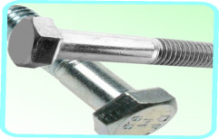 Cold Forged Hex Head Bolt by TMA International Private Limited