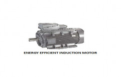 Energy Efficient Induction Motor by Asco Marketing Private Limited