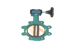 Lined Butterfly Valves by Petron Thermoplast