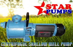 Self Priming Shallow Well Jet Pump by Star Industries