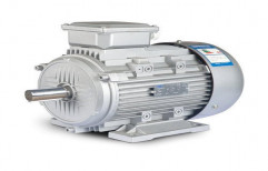 Squirrel Cage Induction Motor by Vidarbha Star Engineering Equipments Private Limited
