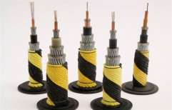 Submarine Cable by Palman Controls & Systems