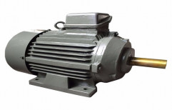 Three Phase Electric Motor by Jain Pumps Marketing