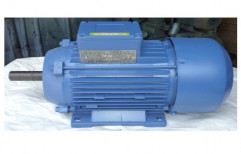 Three Phase Electric Motor by Shree Araganathar Industry