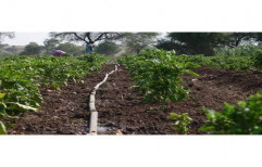 Drip Irrigation System by Laxmi Drip Irrigation Company