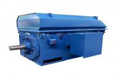 Electric Induction Motor by Rajkot Sales Corporation