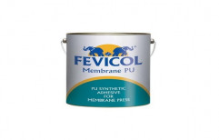 Fevicol Membrane PU Standard by Venus Agencies