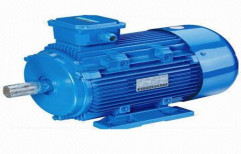 Foot Mounted Motor by Ashok Electro- Mech Industries