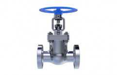 Gate Valve Casting by Imperial World Trade Private Limited