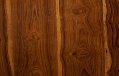 Natural Wooden Veneer by Madhav Tradelink
