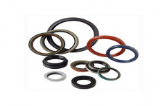 Oil Seal by Parshwa Traders
