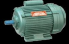 Single Phase Induction Motors by Sher Singh Traders