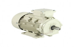 AC Induction Motor by N.P. Syndicate