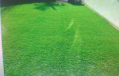 Artificial Grass by K.G.K Group Interior Decorators