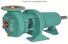 Cast- Iron Centrifugal Pump by Flo-rite Engineering Corporation