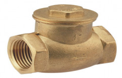 Check Valves by Vedh Techno Engineers Private Limited