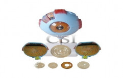 Eye Imported by Chandra Scientific Industries