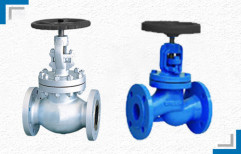 Flanged End Globe Valve by Mackwell Pumps & Controls