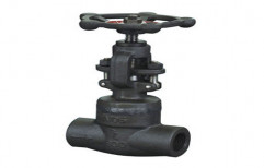 Forged Valves by Mukund Enterprise