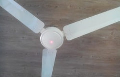 Only 28 Watt Ceiling Fan With Remote by Natasha Solar Electron