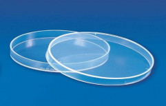 Petri Dish (Culture) by Edutek Instrumentation