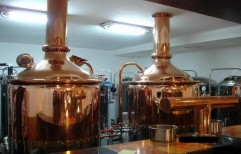 Pub And Restaurant Beer Brewing Equipment by Canadian Crystalline Water India Limited