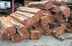 Teak Wood Logs by Jayaraj International Private Limited
