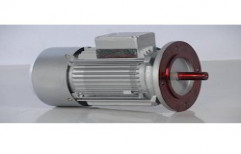 Three Phase Induction Motor by Royal Industries