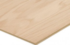 Veneer Plywood Board by Redrose Laminates