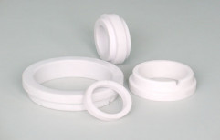 Ceramic Seals by Globe Star Engineers (India) Private Limited